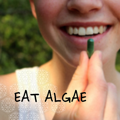eat-algae eat-algae